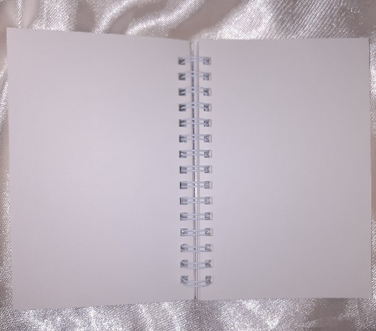 Event Horizon Notebook - Illustration Voyage Japon